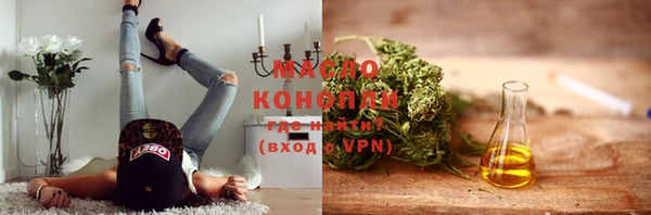 МДПВ Богородск