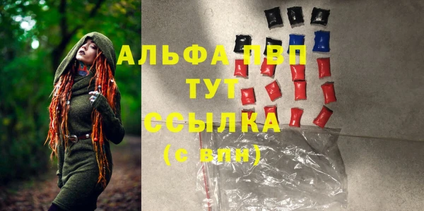 соль ск Белокуриха