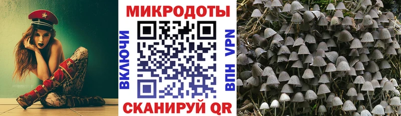 гидра зеркало Богородск Галлюциногенные грибы мицелий